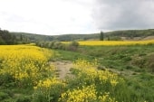 Au sud de Baroville